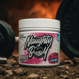 Naughty Boy Menace V2