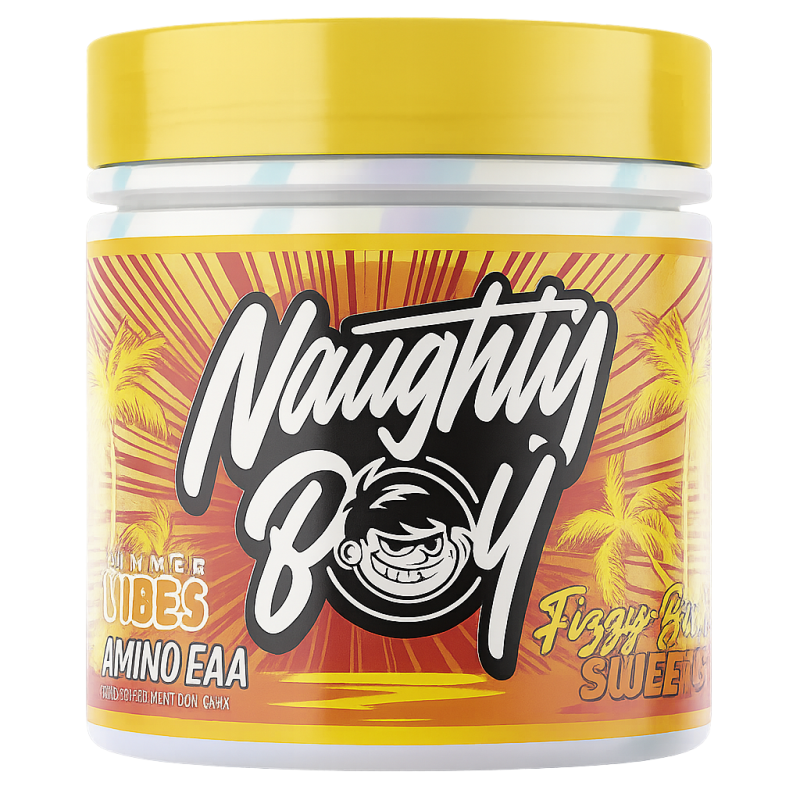 Naughty Boy Summer Vibes