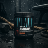 Universal Nutrition Animal Juiced Aminos