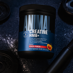 Universal Nutrition Creatine HMB+