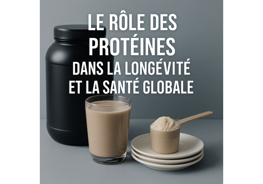 Le rôle des protéines dans la longévité et la santé globale